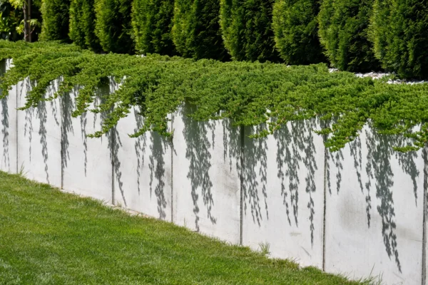 Mur oporowy